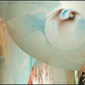 Tales of Ephidrina by Amorphous Androgynous album cover