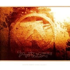 Selected Ambient Works Volume II by Aphex Twin album cover
