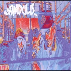 Guidance by Bandulu album cover