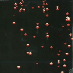 LP by Container album cover