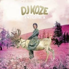 Amygdala by DJ Koze album cover