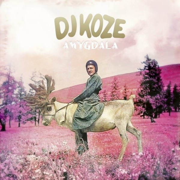 Amygdala by DJ Koze album cover