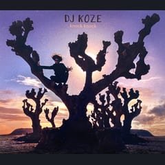 Knock Knock by DJ Koze album cover