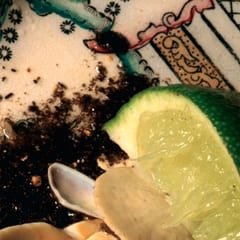 Plays Bee Mask by Donato Dozzy album cover