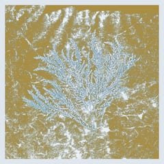For Those Of You Who Have Never (And Also Those Who Have) by Huerco S. album cover
