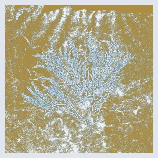 For Those Of You Who Have Never (And Also Those Who Have) by Huerco S. album cover