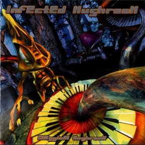 Classical Mushroom by Infected Mushroom album cover