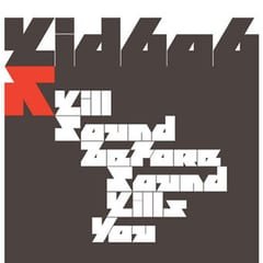 Kill Sound Before Sound Kills You by Kid606 album cover