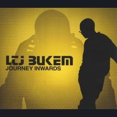 Journey Inwards by LTJ Bukem album cover