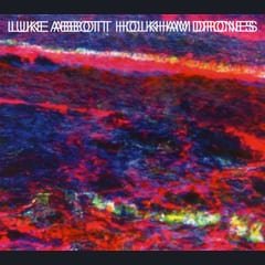 Holkham Drones by Luke Abbott album cover
