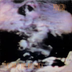 The Land of Rape and Honey by Ministry album cover