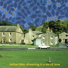 Drowning in a Sea of Love by Nathan Fake album cover