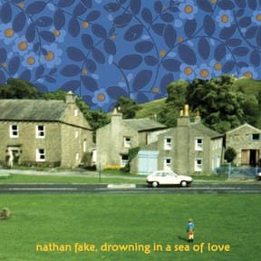 Drowning in a Sea of Love by Nathan Fake album cover