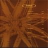 Orbital 2 (Brown Album) by Orbital album cover
