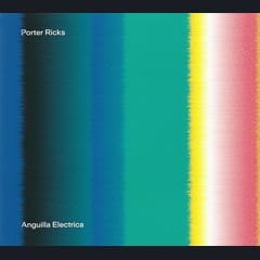 Anguilla Electrica by Porter Ricks album cover