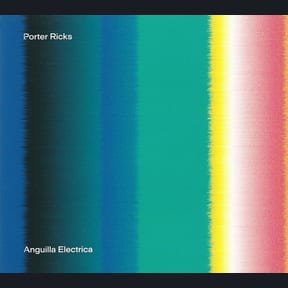 Anguilla Electrica by Porter Ricks album cover