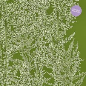 Alcachofa by Ricardo Villalobos album cover
