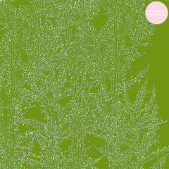 Alcachofa by Ricardo Villalobos album cover