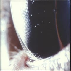 Third Law by Roly Porter album cover
