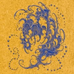 Shell~Wave by Surgeon album cover