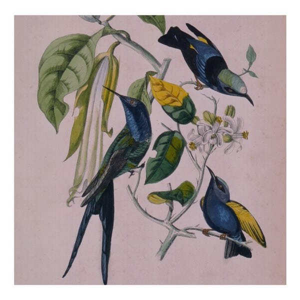 Sakura by Susumu Yokota album cover