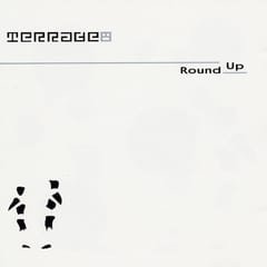 Round Up by Terrace album cover