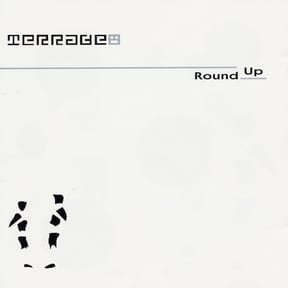 Round Up by Terrace album cover