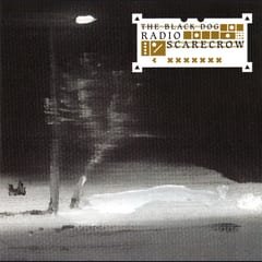 Radio Scarecrow by The Black Dog album cover