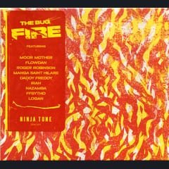 Fire by The Bug album cover