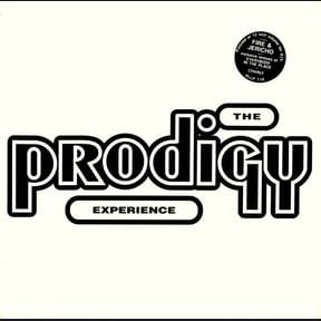 Experience by The Prodigy album cover