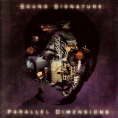 Parallel Dimensions by Theo Parrish album cover