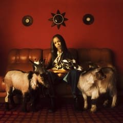 Capricorn Sun by TSHA album cover