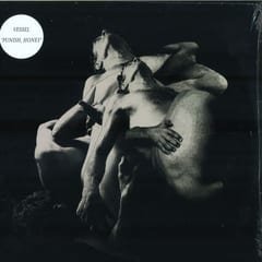 Punish, Honey by Vessel album cover